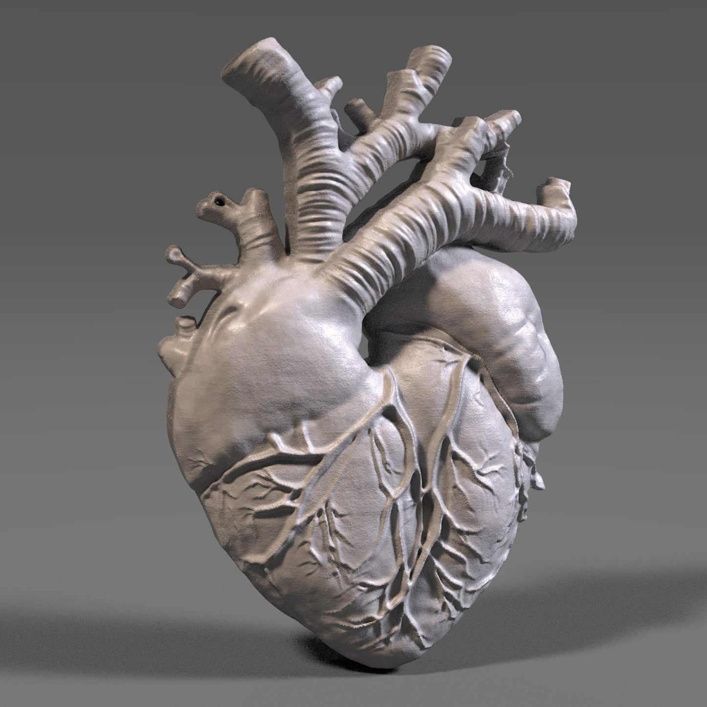 Anatomical Heart 3D Bas relief | Human Heart STL | Wall Art (Digital Download)