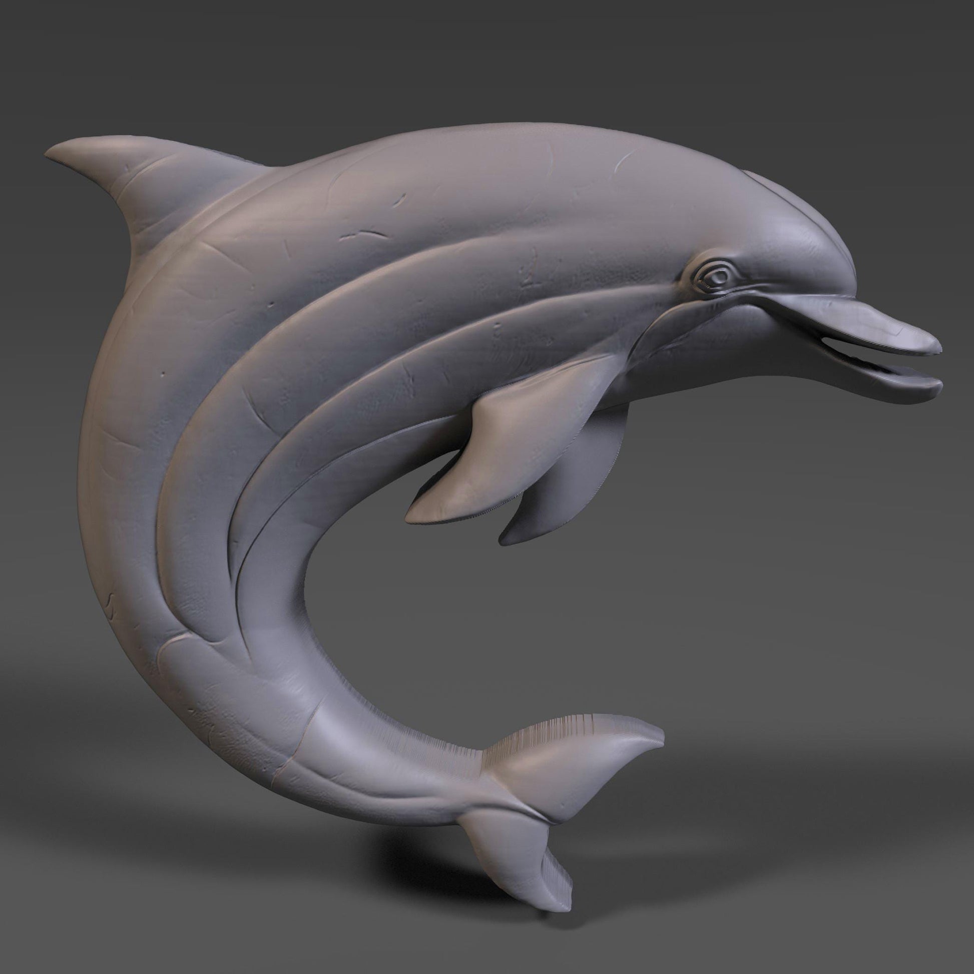 Dolphin 3D Relief Model STL File: CNC Carving, Laser Engraving (Digital Download)