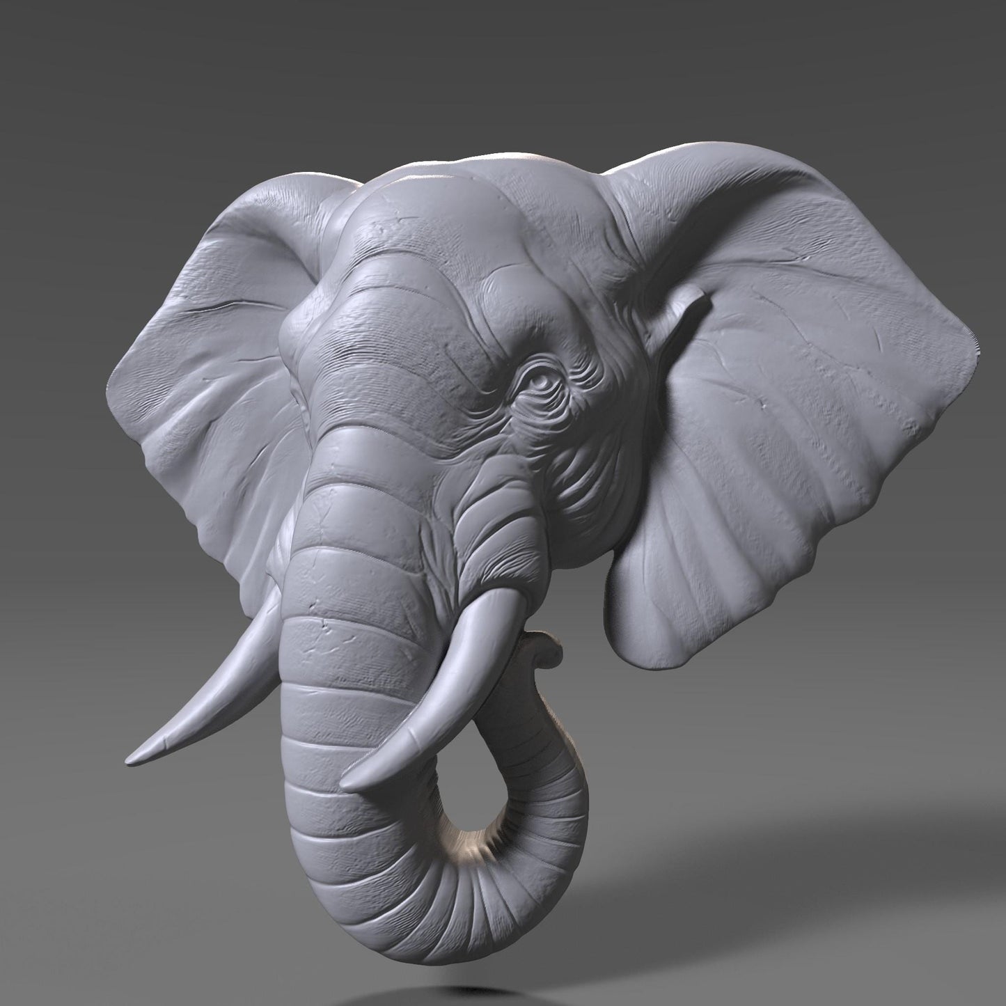 Elephant Head 3D Relief Model: CNC, Laser, Print (STL File)