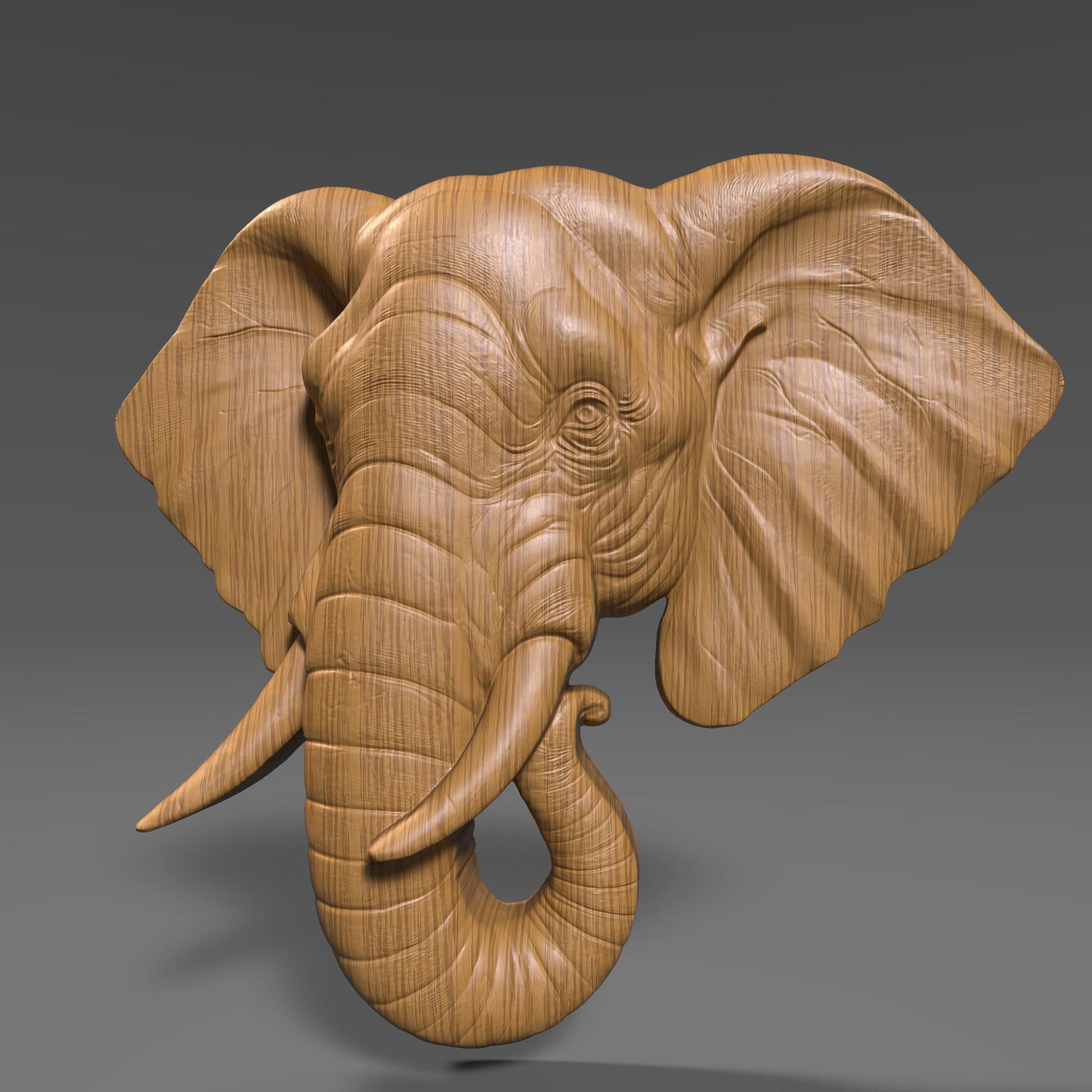 Elephant Head 3D Relief Model: CNC, Laser, Print (STL File)