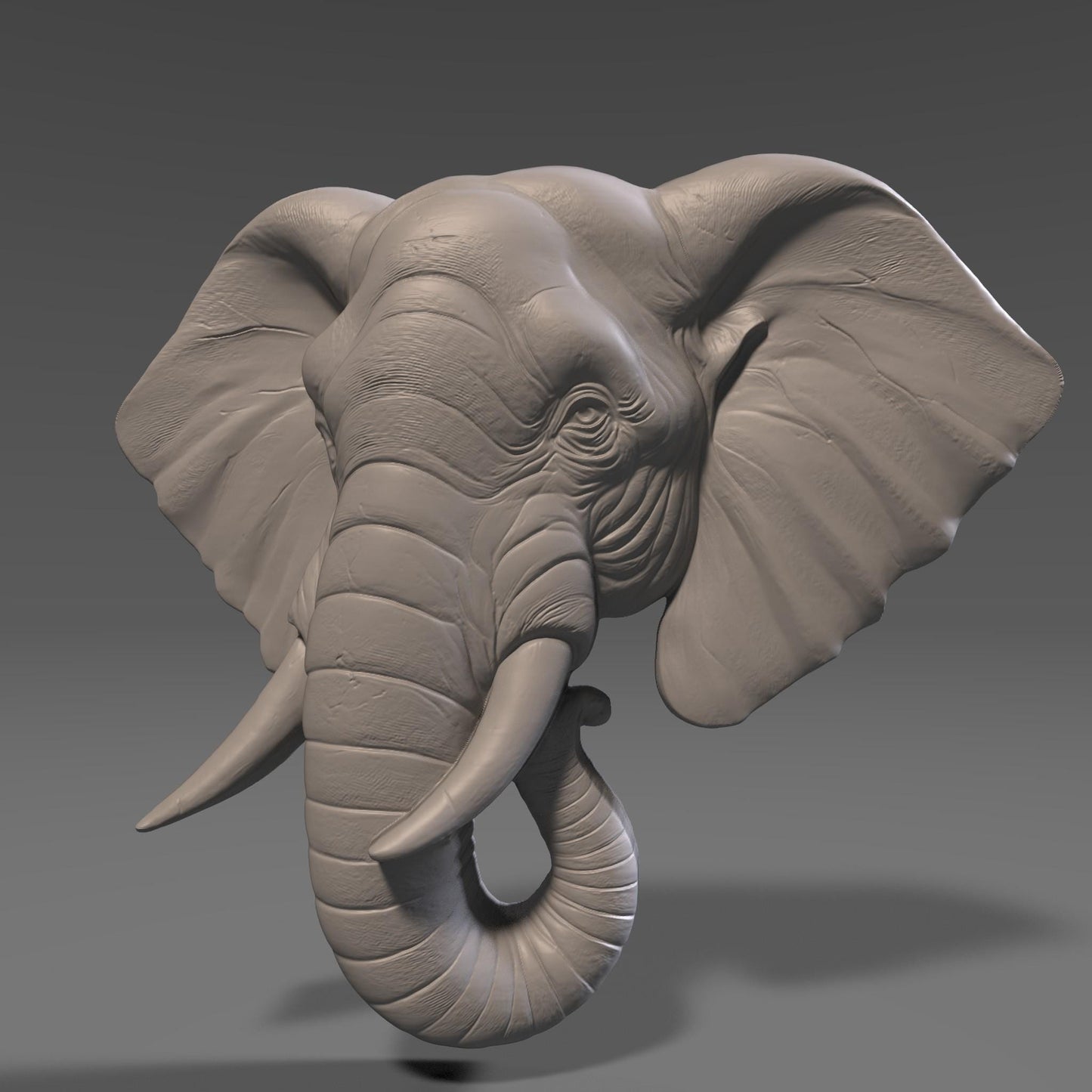 Elephant Head 3D Relief Model: CNC, Laser, Print (STL File)