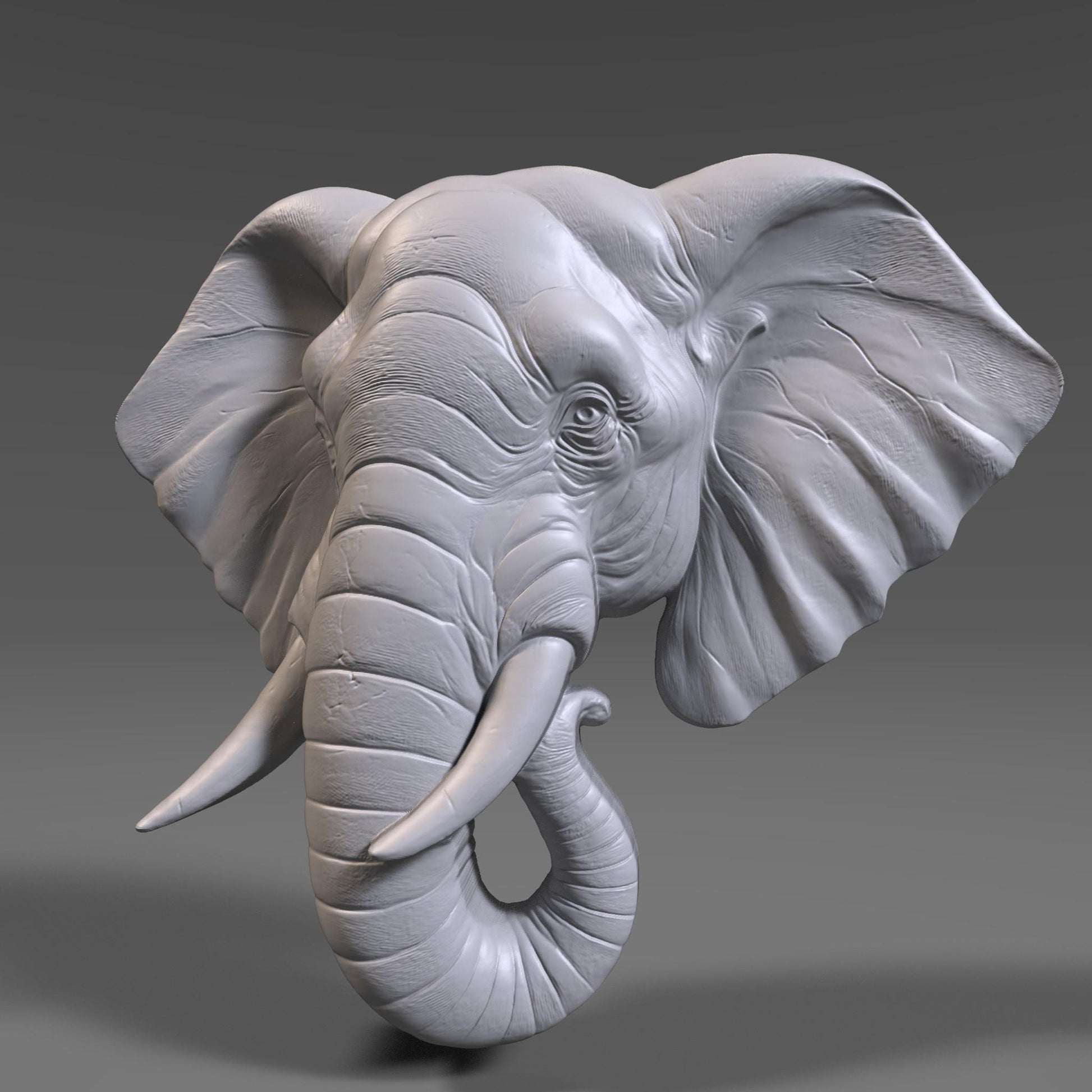 Elephant Head 3D Relief Model: CNC, Laser, Print (STL File)