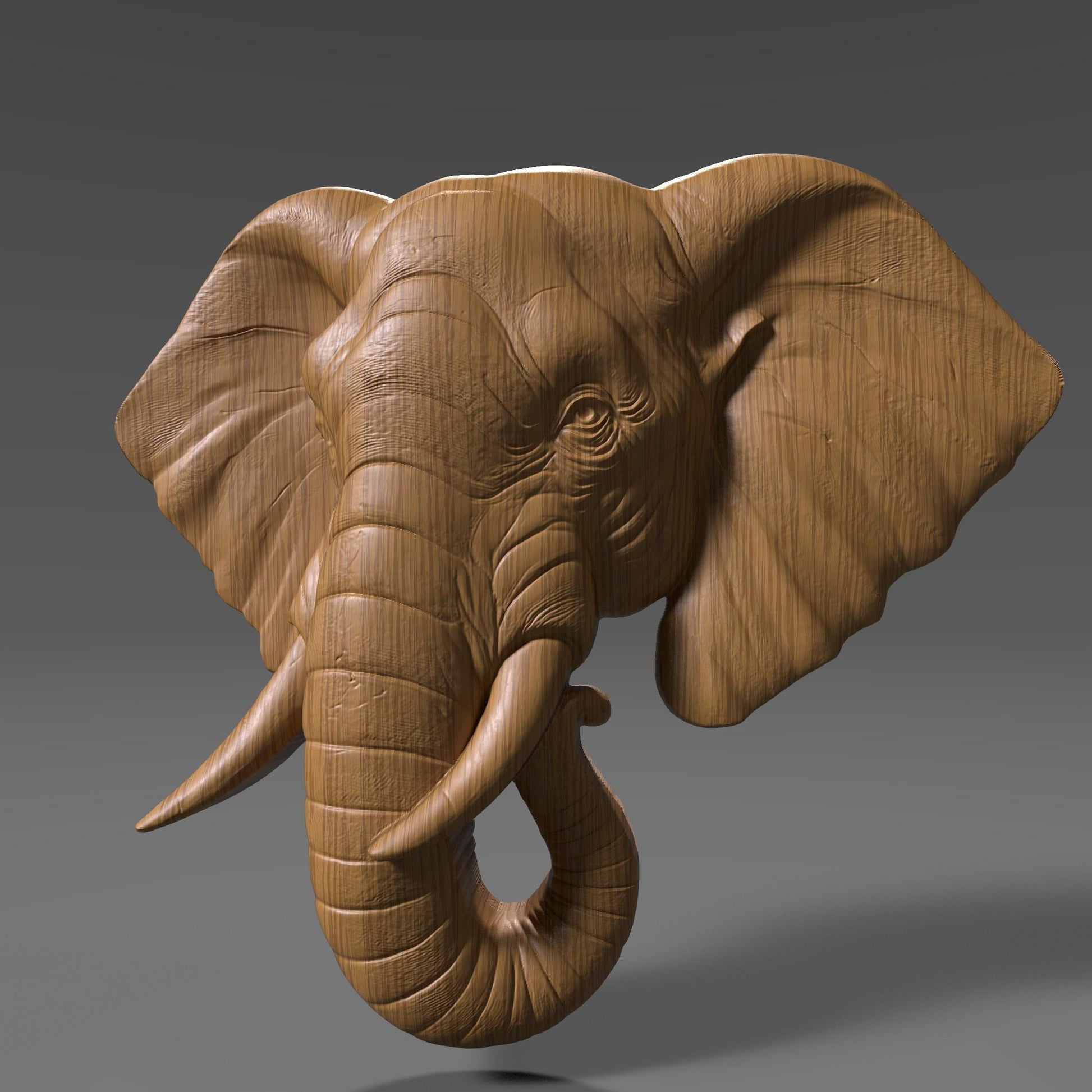 Elephant Head 3D Relief Model: CNC, Laser, Print (STL File)