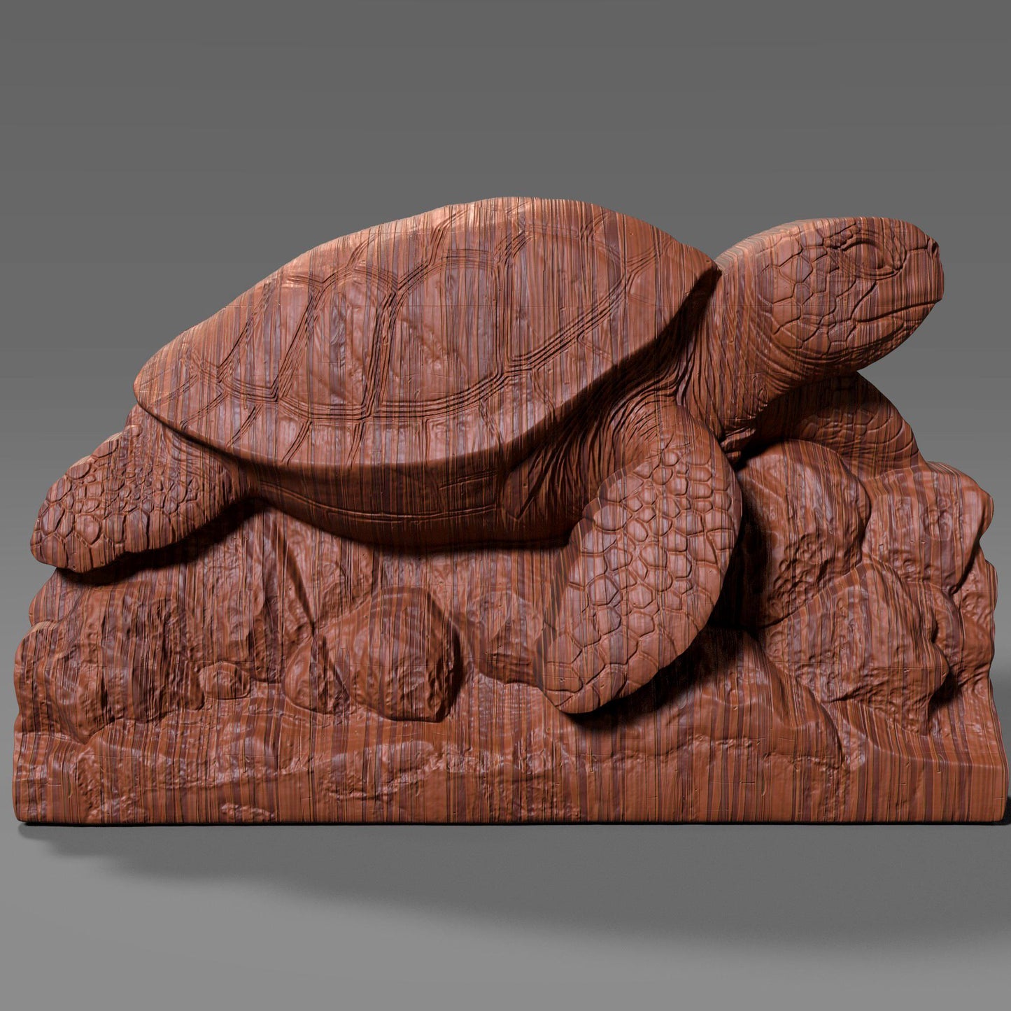 Sea Turtle 3D Relief Model: CNC, Laser, 3D Print (STL File)