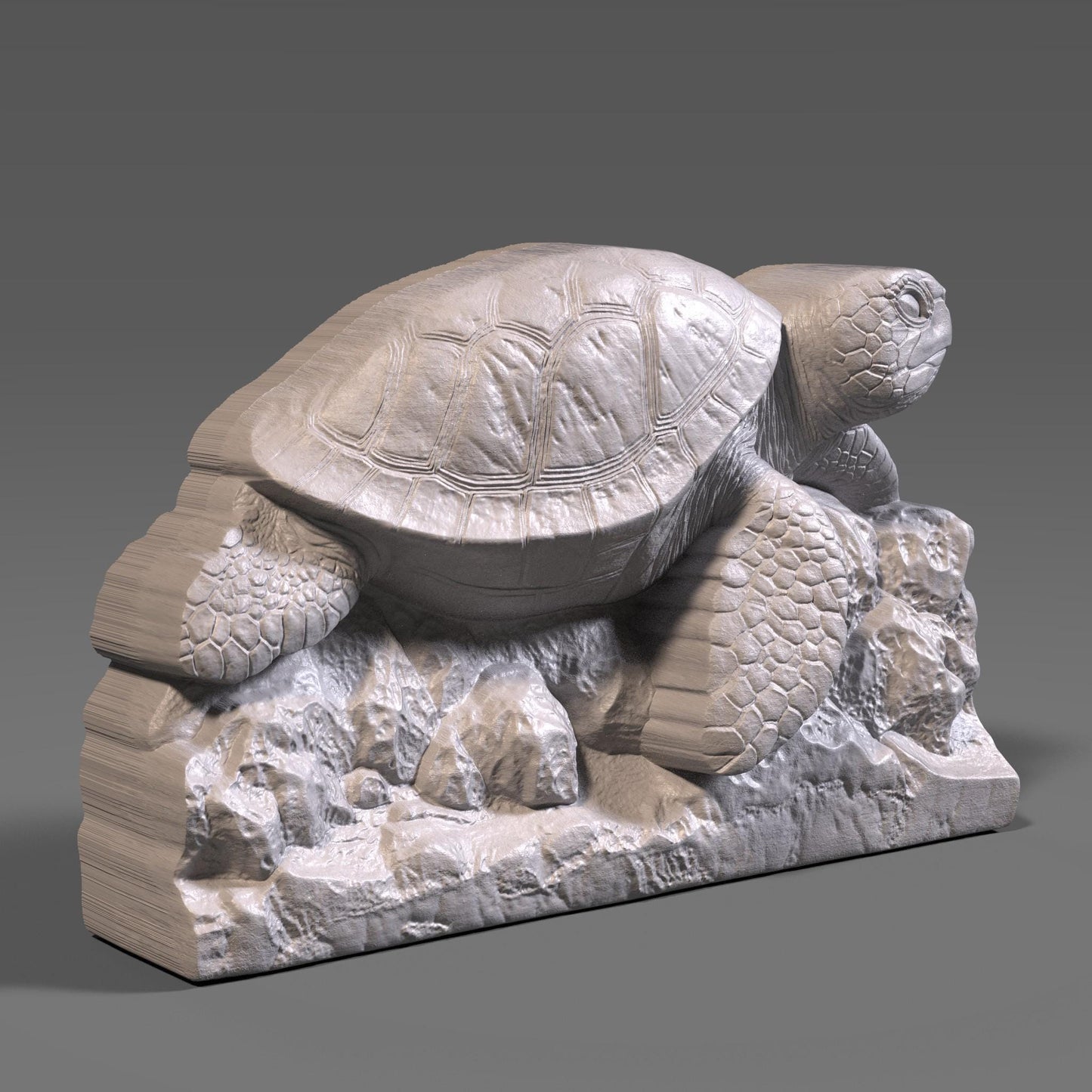 Sea Turtle 3D Relief Model: CNC, Laser, 3D Print (STL File)
