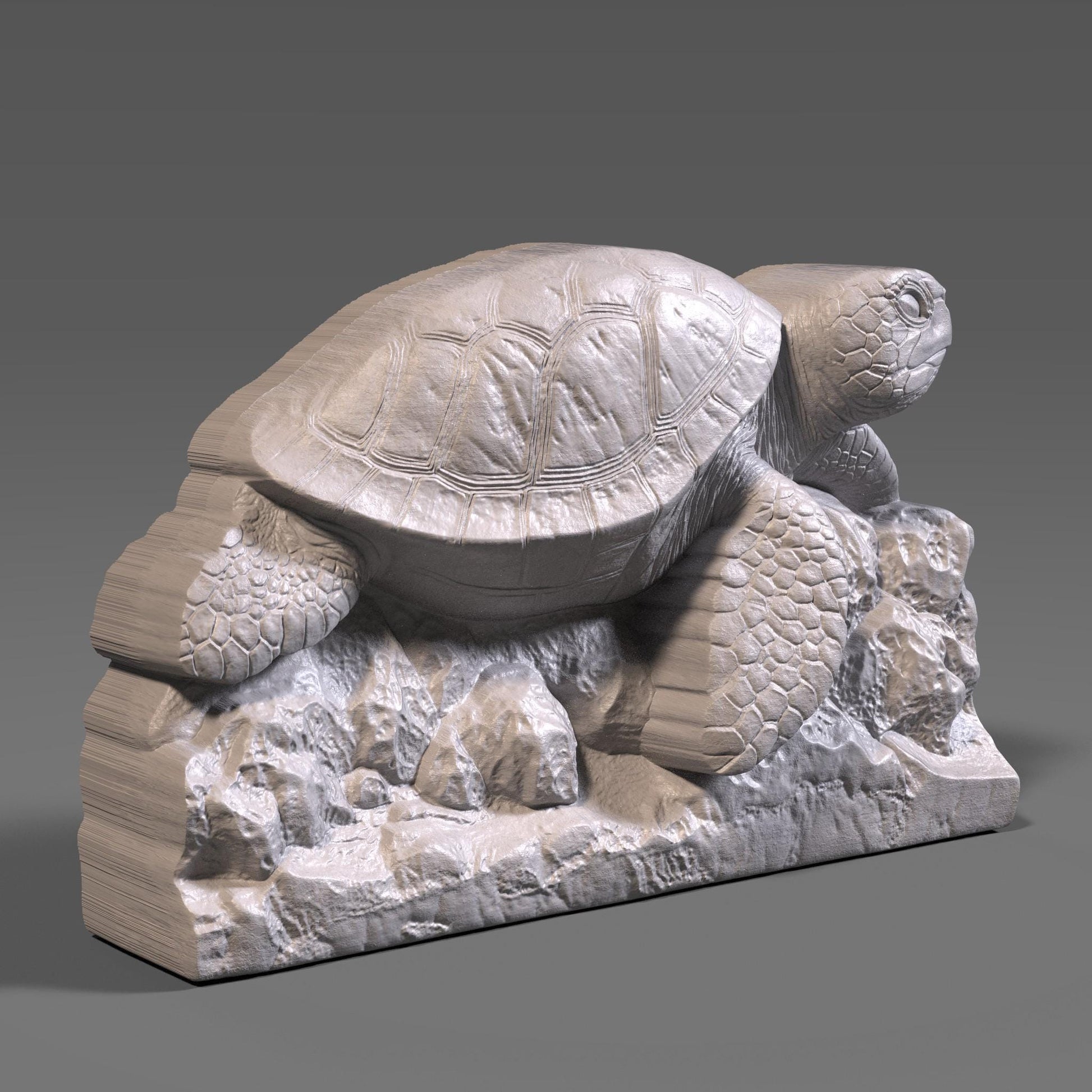 Sea Turtle 3D Relief Model: CNC, Laser, 3D Print (STL File)