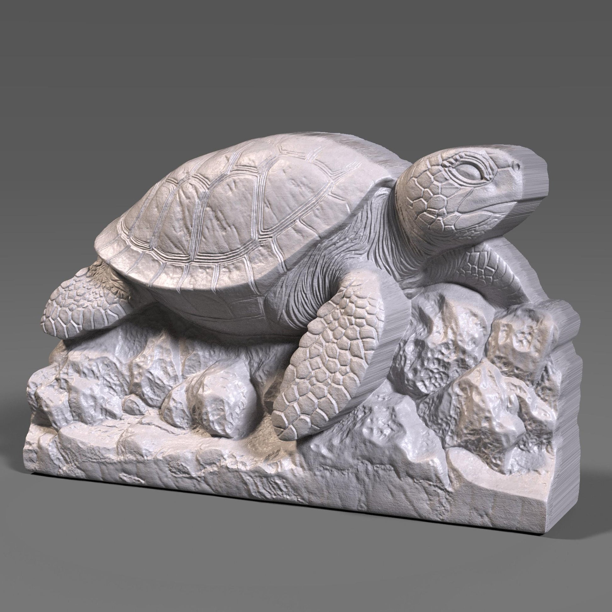 Sea Turtle 3D Relief Model: CNC, Laser, 3D Print (STL File)