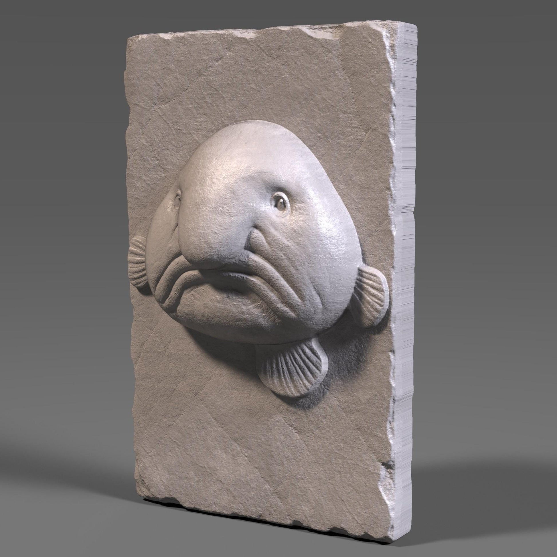 Blobfish 3D Relief Model: Funny Sea Creature CNC Carving (Digital File STL + Depth Map