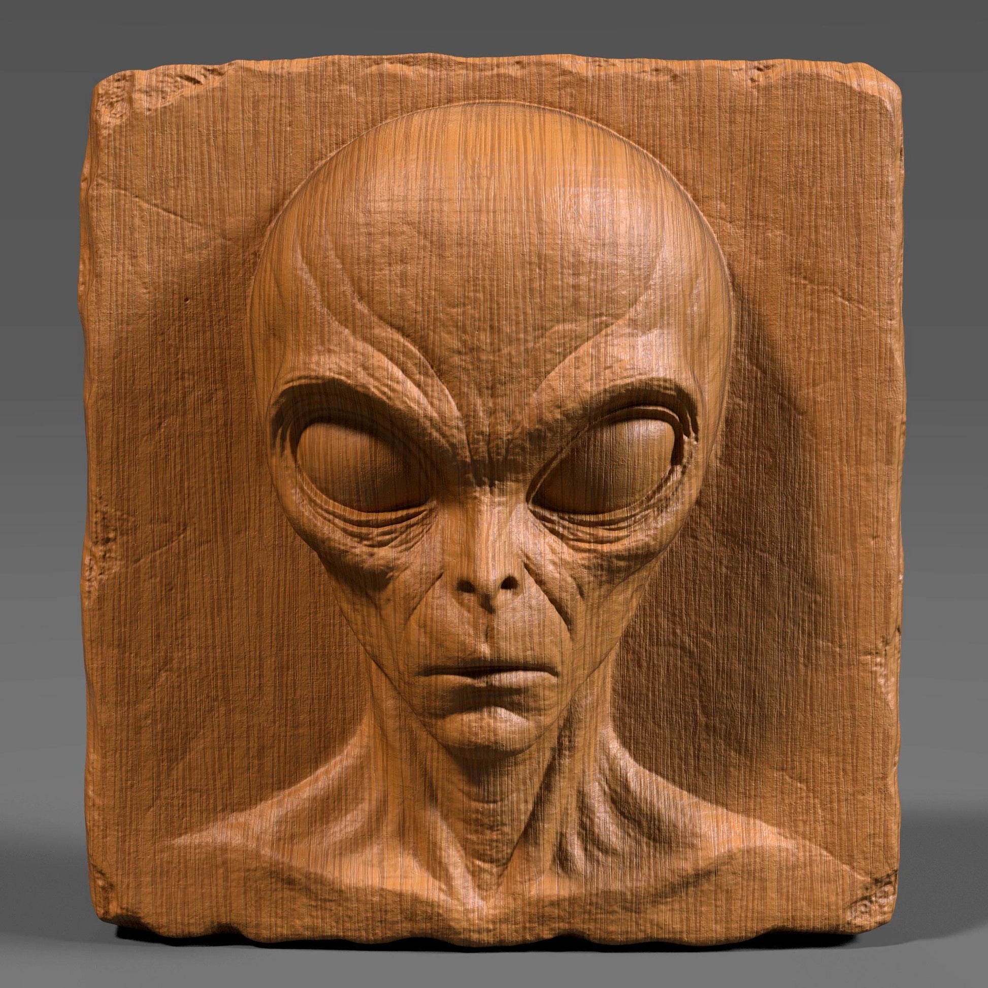 Highly detailed 3D bas relief carving of a creepy alien face on a rectangular wooden slab with chipped edges, perfect for Halloween or horror decor. The extraterrestrial figure features a bald elongated head, large almond-shaped eyes, and sunken facial features that give it an ominous and mysterious expression. The vertical wood grain texture enhances its eerie vibe. Designed for CNC carving, laser engraving, or 3D printing, this spooky wall art makes a haunting sci-fi statement.