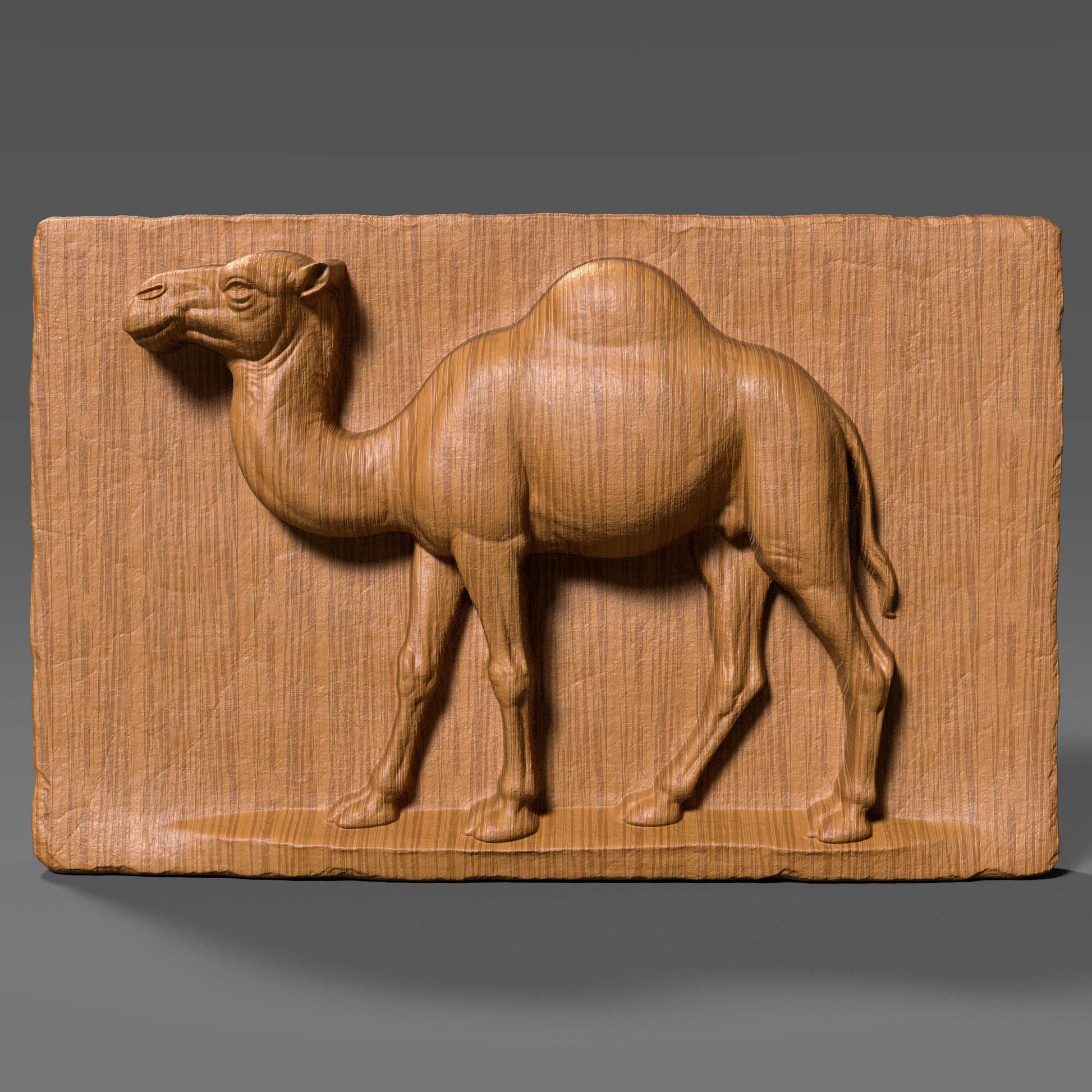 3D realistic wood bas-relief of a single-hump camel in profile, carved into a flat rectangular wooden slab with detailed musculature and natural proportions. The camel is depicted standing with one front leg slightly lifted, capturing a sense of motion and life. The background slab has vertical wood grain texture and slightly chipped edges, enhancing the rustic, handmade look. This artwork is ideal for desert animal lovers, nature-inspired interiors, or as CNC-ready wall decor.