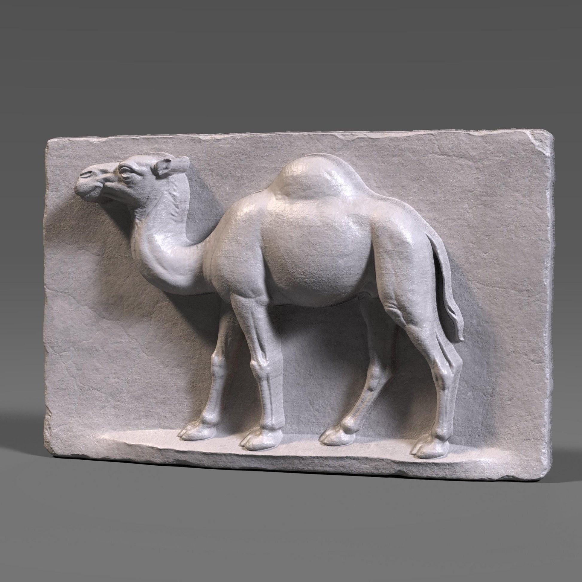 Camel Bas Relief 3D Model: CNC, Laser Engraving (Digital Download STL File)