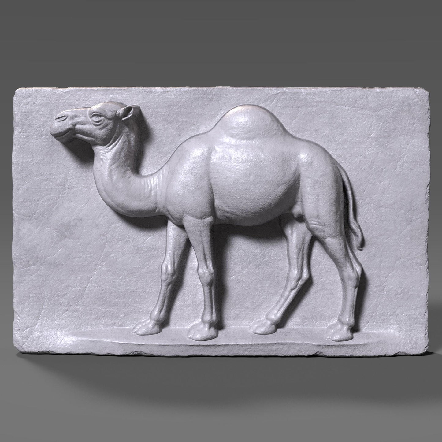 3D realistic wood bas-relief of a single-hump camel in profile, carved into a flat rectangular wooden slab with detailed musculature and natural proportions. The camel is depicted standing with one front leg slightly lifted, capturing a sense of motion and life. The background slab has vertical wood grain texture and slightly chipped edges, enhancing the rustic, handmade look. This artwork is ideal for desert animal lovers, nature-inspired interiors, or as CNC-ready wall decor.