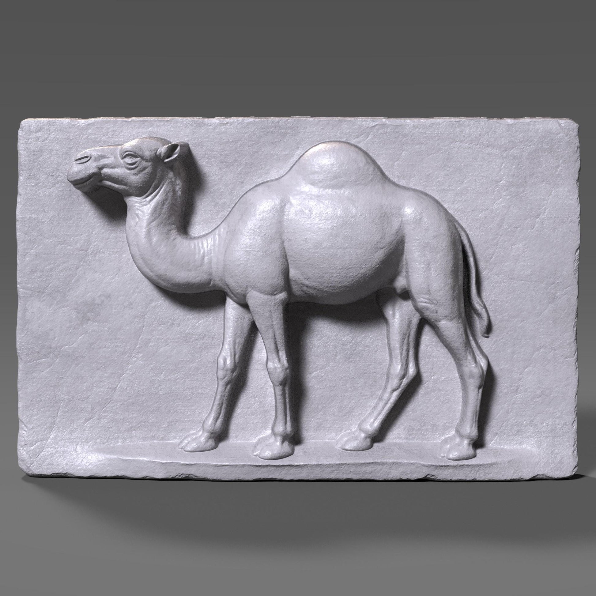 3D realistic wood bas-relief of a single-hump camel in profile, carved into a flat rectangular wooden slab with detailed musculature and natural proportions. The camel is depicted standing with one front leg slightly lifted, capturing a sense of motion and life. The background slab has vertical wood grain texture and slightly chipped edges, enhancing the rustic, handmade look. This artwork is ideal for desert animal lovers, nature-inspired interiors, or as CNC-ready wall decor.