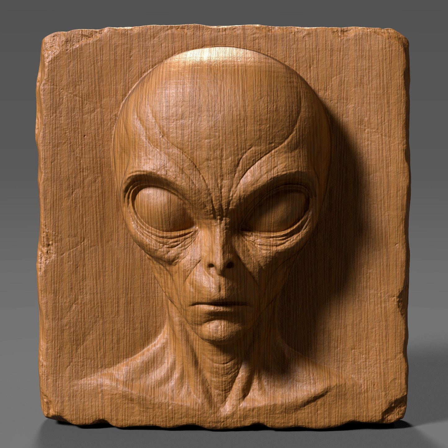 Highly detailed 3D bas relief carving of a creepy alien face on a rectangular wooden slab with chipped edges, perfect for Halloween or horror decor. The extraterrestrial figure features a bald elongated head, large almond-shaped eyes, and sunken facial features that give it an ominous and mysterious expression. The vertical wood grain texture enhances its eerie vibe. Designed for CNC carving, laser engraving, or 3D printing, this spooky wall art makes a haunting sci-fi statement.