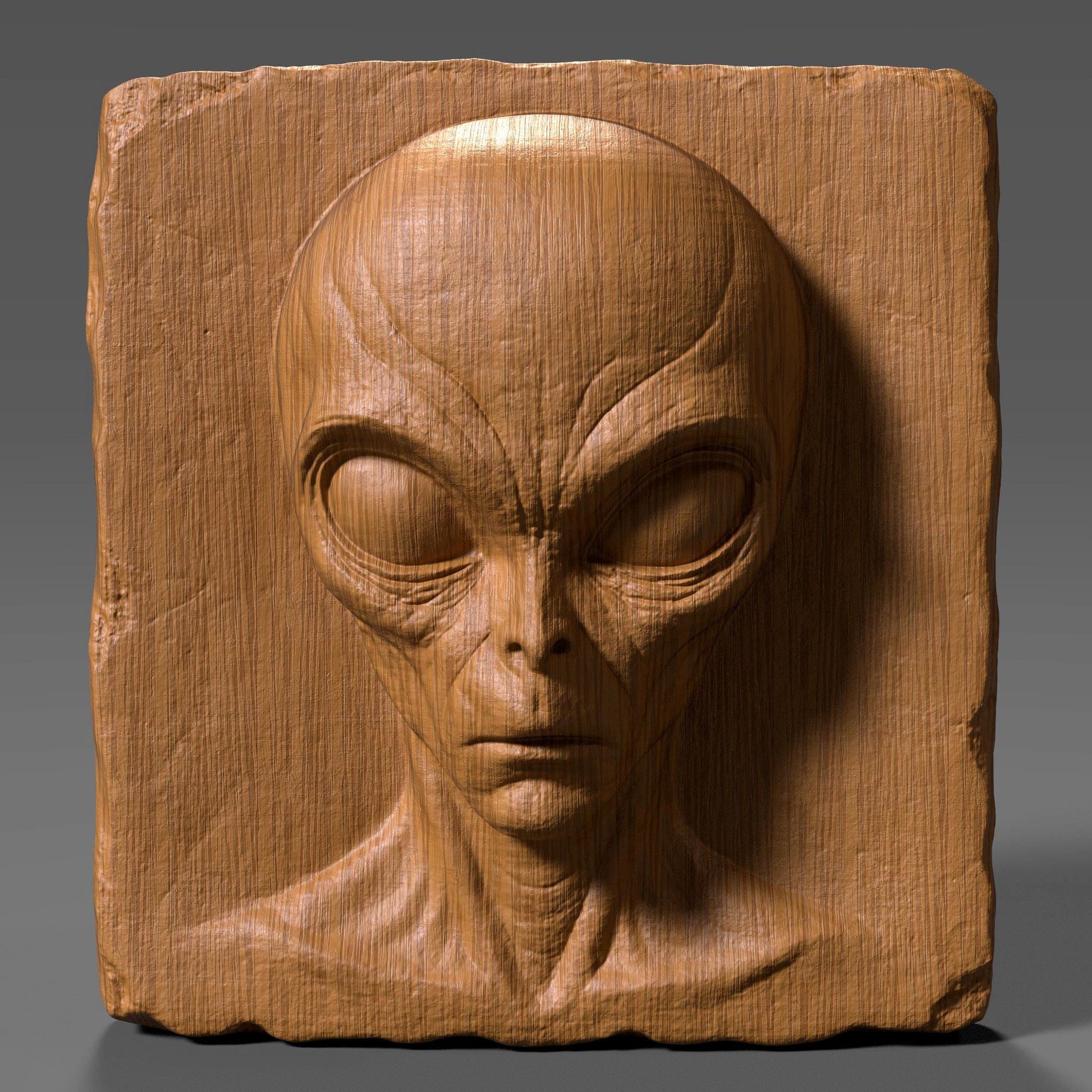 Highly detailed 3D bas relief carving of a creepy alien face on a rectangular wooden slab with chipped edges, perfect for Halloween or horror decor. The extraterrestrial figure features a bald elongated head, large almond-shaped eyes, and sunken facial features that give it an ominous and mysterious expression. The vertical wood grain texture enhances its eerie vibe. Designed for CNC carving, laser engraving, or 3D printing, this spooky wall art makes a haunting sci-fi statement.