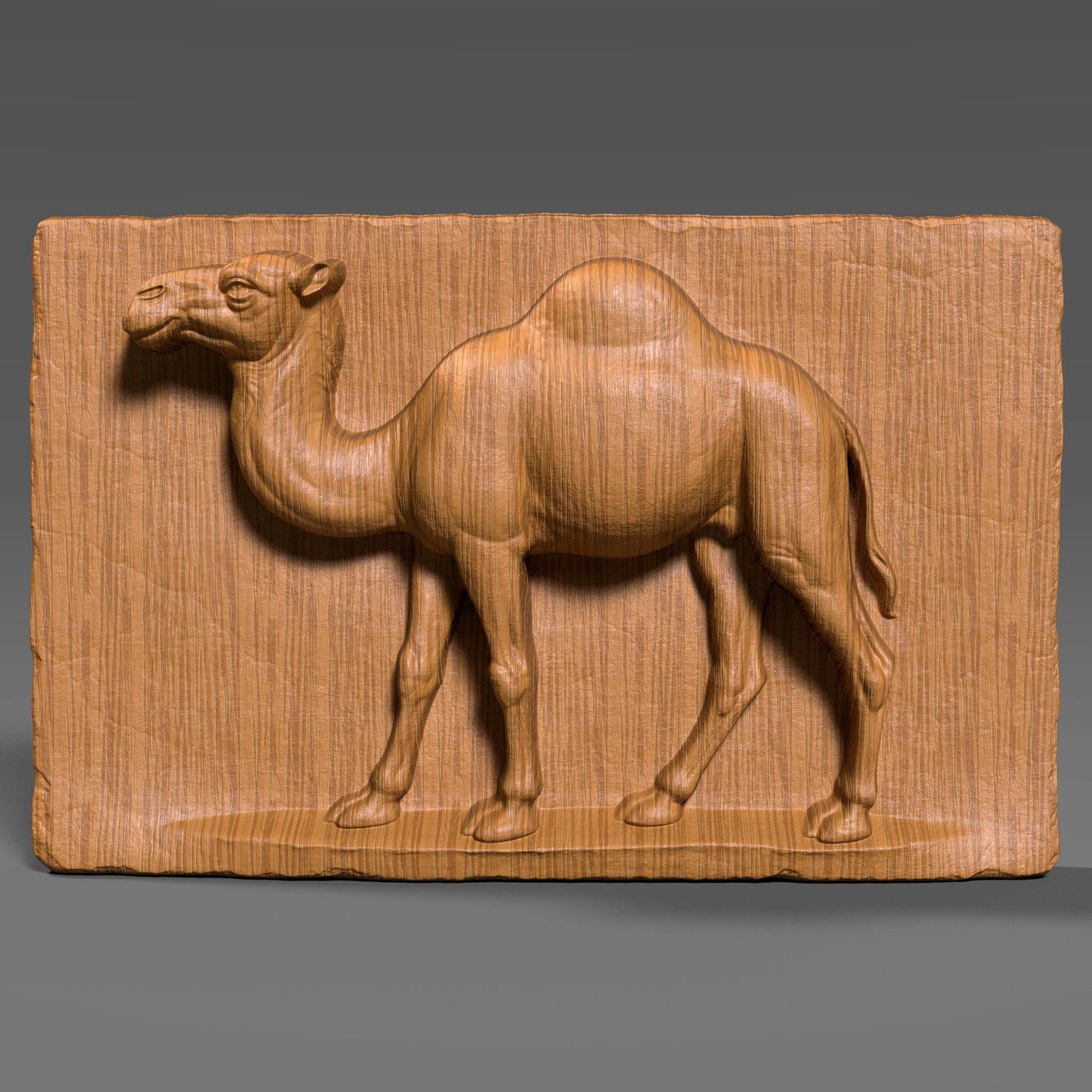 3D realistic wood bas-relief of a single-hump camel in profile, carved into a flat rectangular wooden slab with detailed musculature and natural proportions. The camel is depicted standing with one front leg slightly lifted, capturing a sense of motion and life. The background slab has vertical wood grain texture and slightly chipped edges, enhancing the rustic, handmade look. This artwork is ideal for desert animal lovers, nature-inspired interiors, or as CNC-ready wall decor.