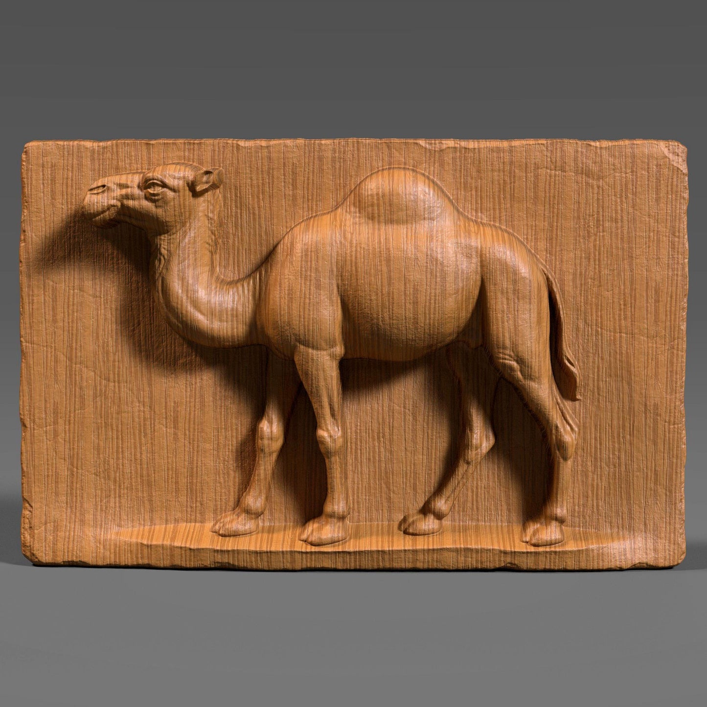 Camel Bas Relief 3D Model: CNC, Laser Engraving (Digital Download STL File)
