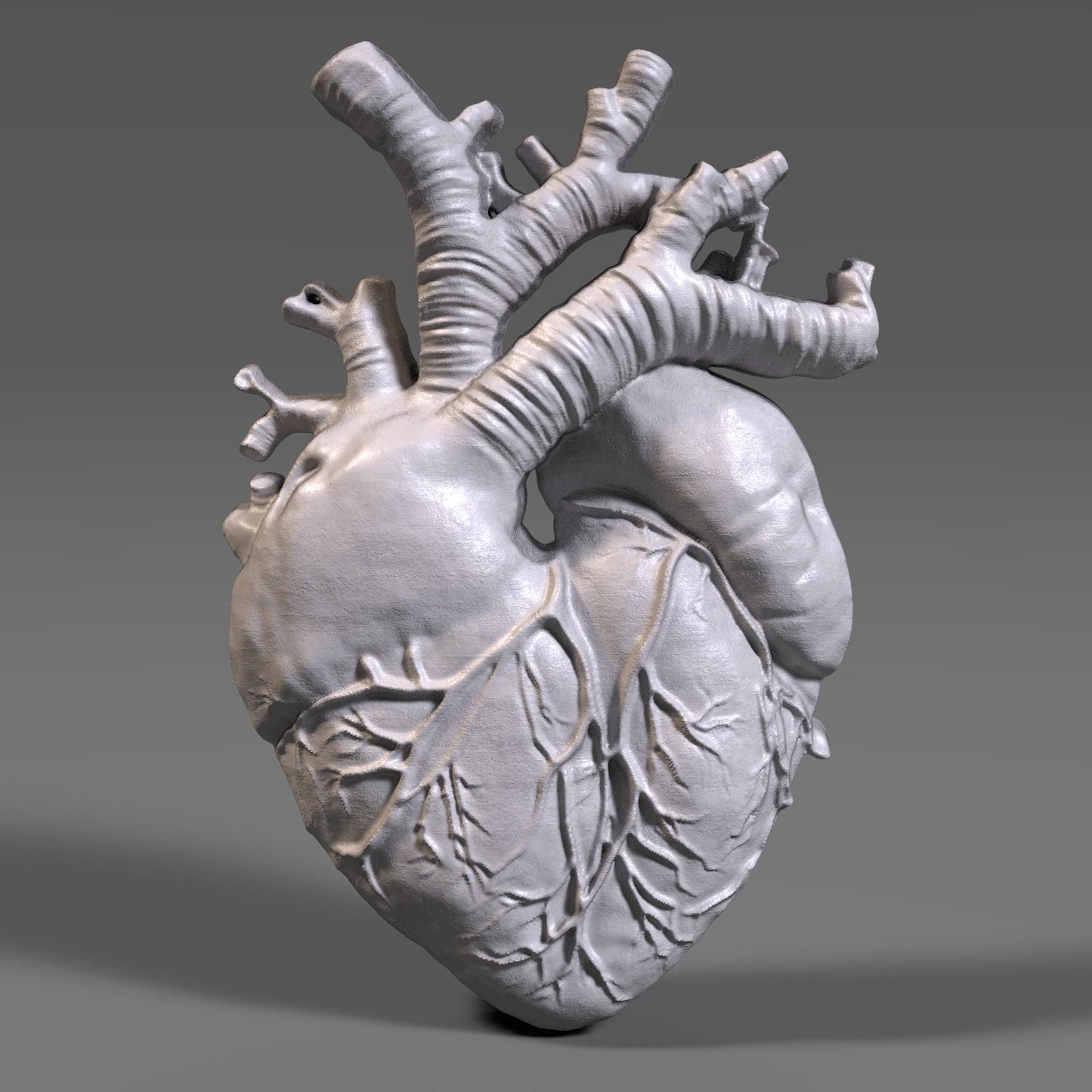 Highly detailed wooden anatomical heart bas relief sculpture showing realistic human heart anatomy with visible vessels and organic surface texture. The 3D carved heart features deep relief depth, natural wood grain, and accurate medical form, designed for CNC carving, 3D printing, or scientific wall decor. Ideal for medical art, anatomy study, and modern interior decoration.