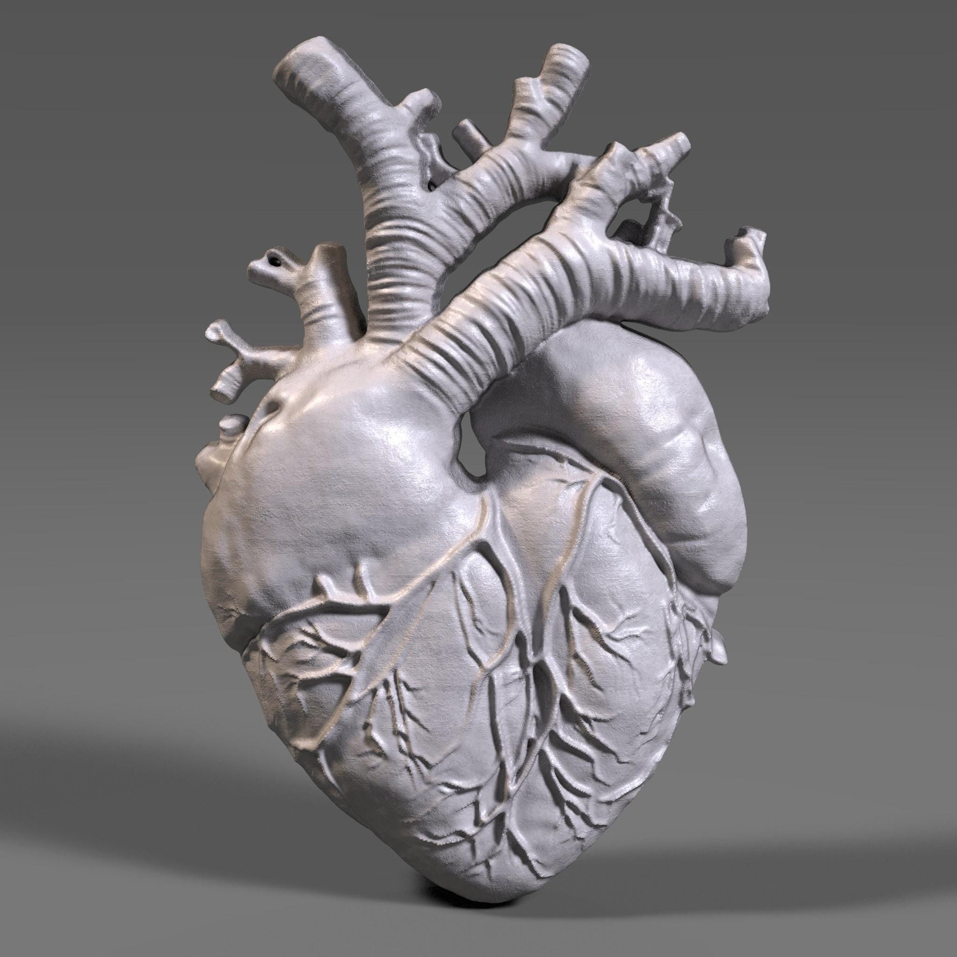Highly detailed wooden anatomical heart bas relief sculpture showing realistic human heart anatomy with visible vessels and organic surface texture. The 3D carved heart features deep relief depth, natural wood grain, and accurate medical form, designed for CNC carving, 3D printing, or scientific wall decor. Ideal for medical art, anatomy study, and modern interior decoration.