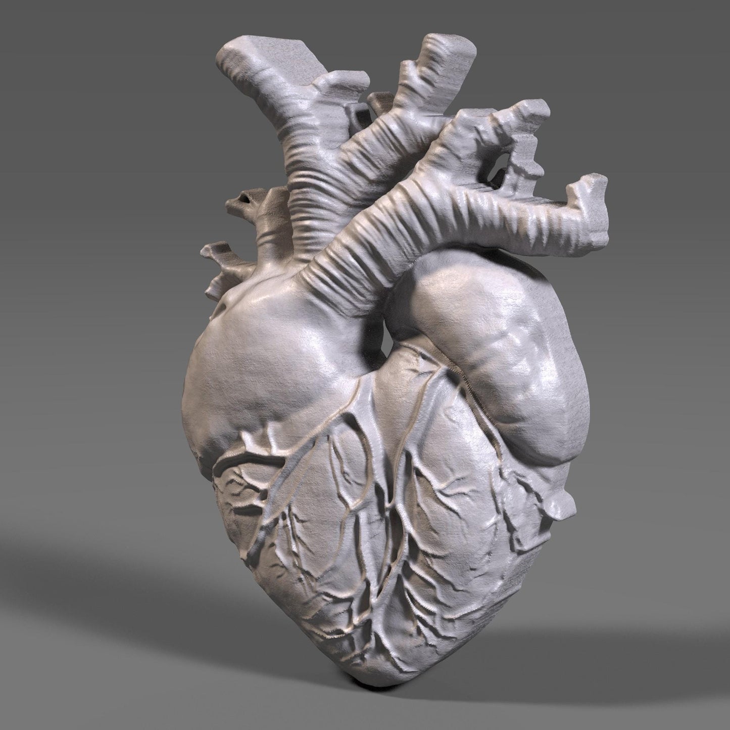 Anatomical Heart 3D Bas relief | Human Heart STL | Wall Art (Digital Download)
