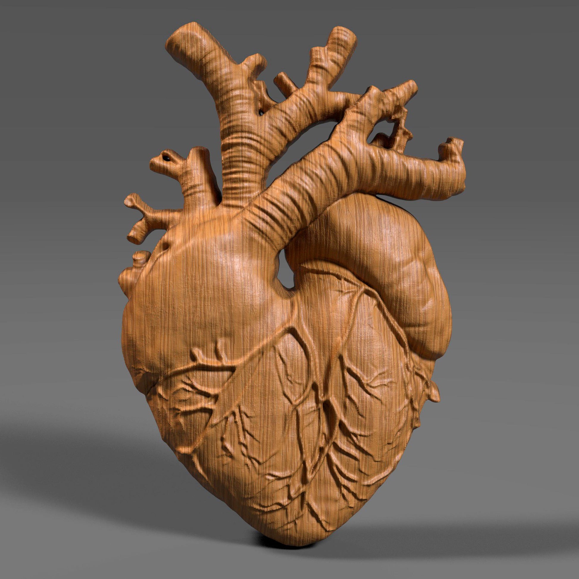 Highly detailed wooden anatomical heart bas relief sculpture showing realistic human heart anatomy with visible vessels and organic surface texture. The 3D carved heart features deep relief depth, natural wood grain, and accurate medical form, designed for CNC carving, 3D printing, or scientific wall decor. Ideal for medical art, anatomy study, and modern interior decoration.