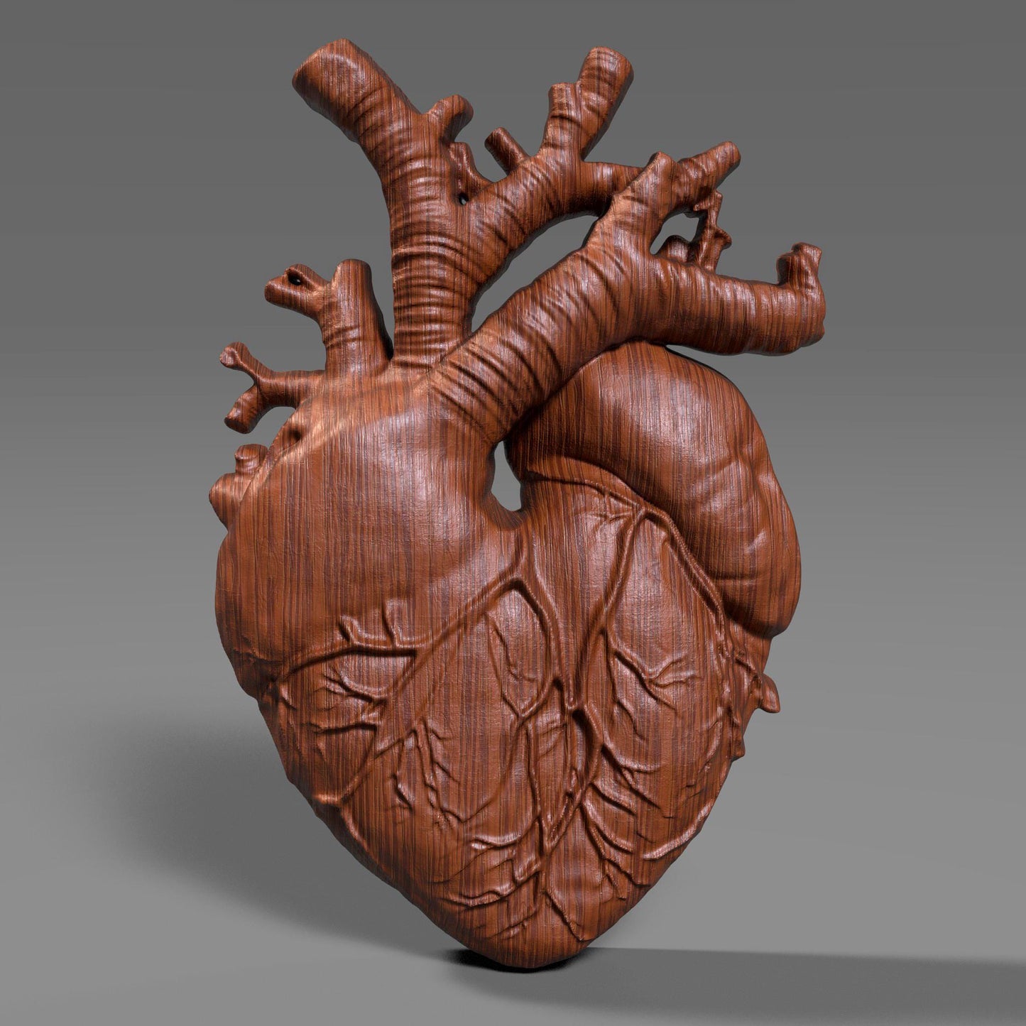Highly detailed wooden anatomical heart bas relief sculpture showing realistic human heart anatomy with visible vessels and organic surface texture. The 3D carved heart features deep relief depth, natural wood grain, and accurate medical form, designed for CNC carving, 3D printing, or scientific wall decor. Ideal for medical art, anatomy study, and modern interior decoration.