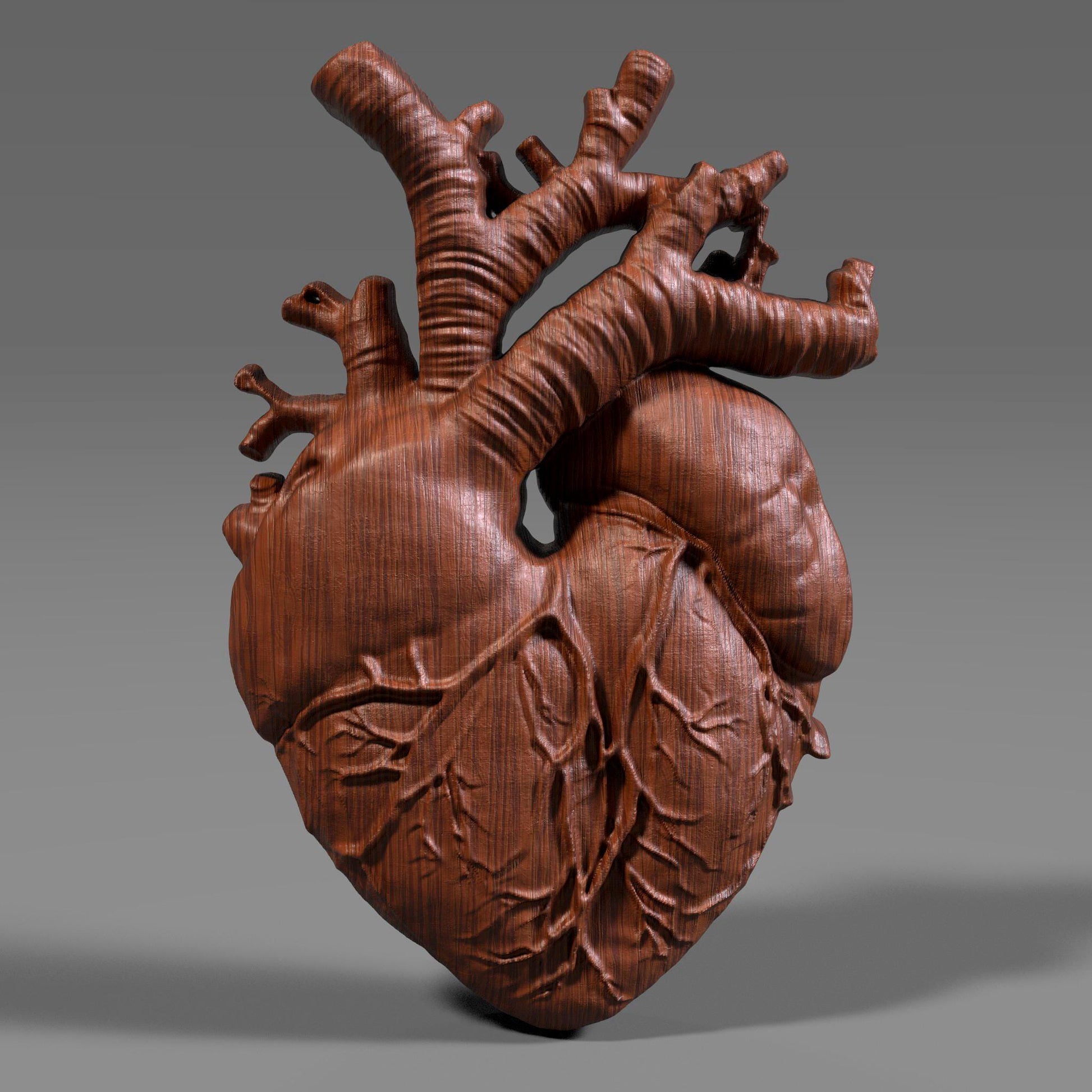 Anatomical Heart 3D Bas relief | Human Heart STL | Wall Art (Digital Download)
