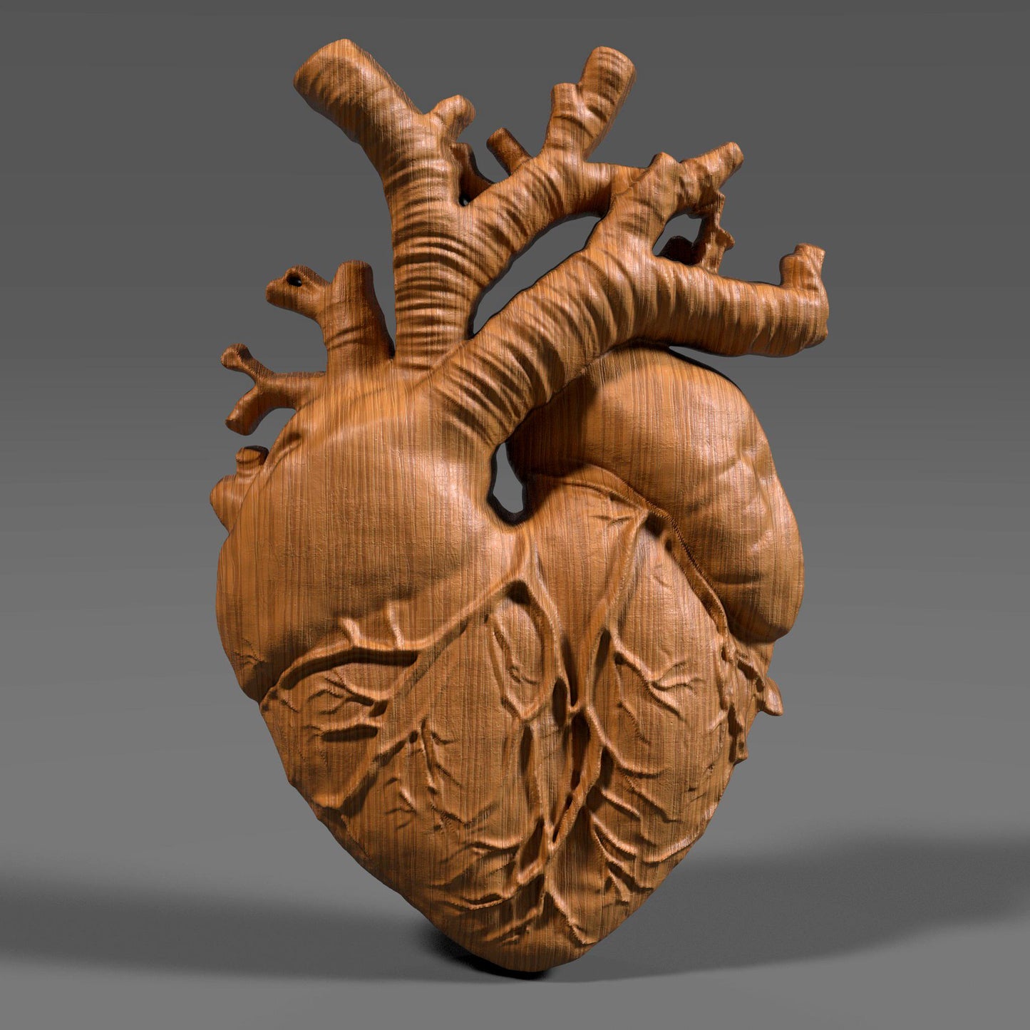Highly detailed wooden anatomical heart bas relief sculpture showing realistic human heart anatomy with visible vessels and organic surface texture. The 3D carved heart features deep relief depth, natural wood grain, and accurate medical form, designed for CNC carving, 3D printing, or scientific wall decor. Ideal for medical art, anatomy study, and modern interior decoration.