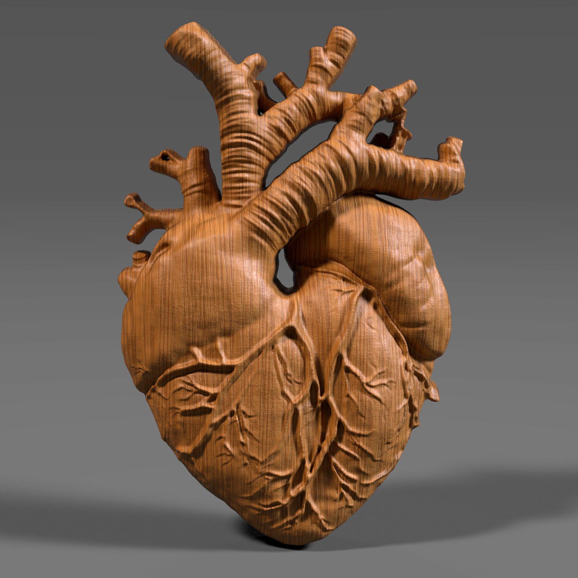 Highly detailed wooden anatomical heart bas relief sculpture showing realistic human heart anatomy with visible vessels and organic surface texture. The 3D carved heart features deep relief depth, natural wood grain, and accurate medical form, designed for CNC carving, 3D printing, or scientific wall decor. Ideal for medical art, anatomy study, and modern interior decoration.