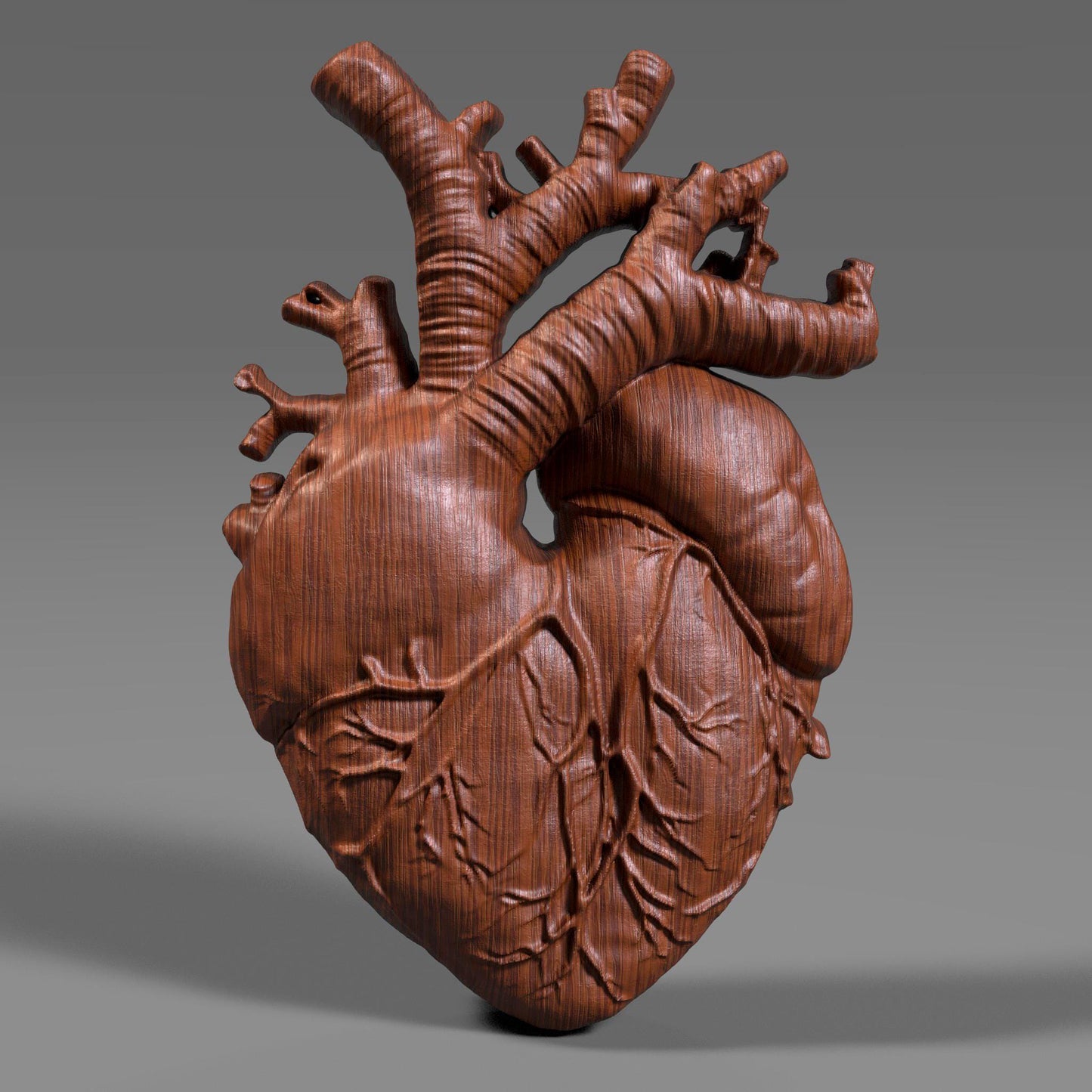 Highly detailed wooden anatomical heart bas relief sculpture showing realistic human heart anatomy with visible vessels and organic surface texture. The 3D carved heart features deep relief depth, natural wood grain, and accurate medical form, designed for CNC carving, 3D printing, or scientific wall decor. Ideal for medical art, anatomy study, and modern interior decoration.