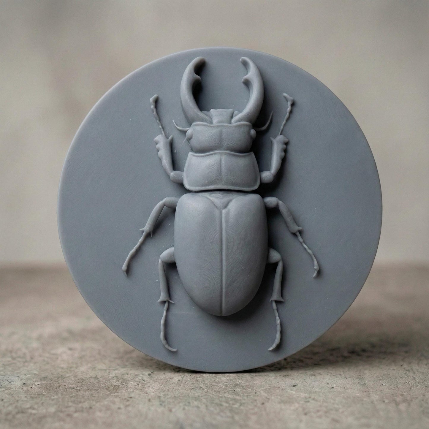 Beetle 3D Relief Model: CNC, Laser, 3D Printing (STL File)