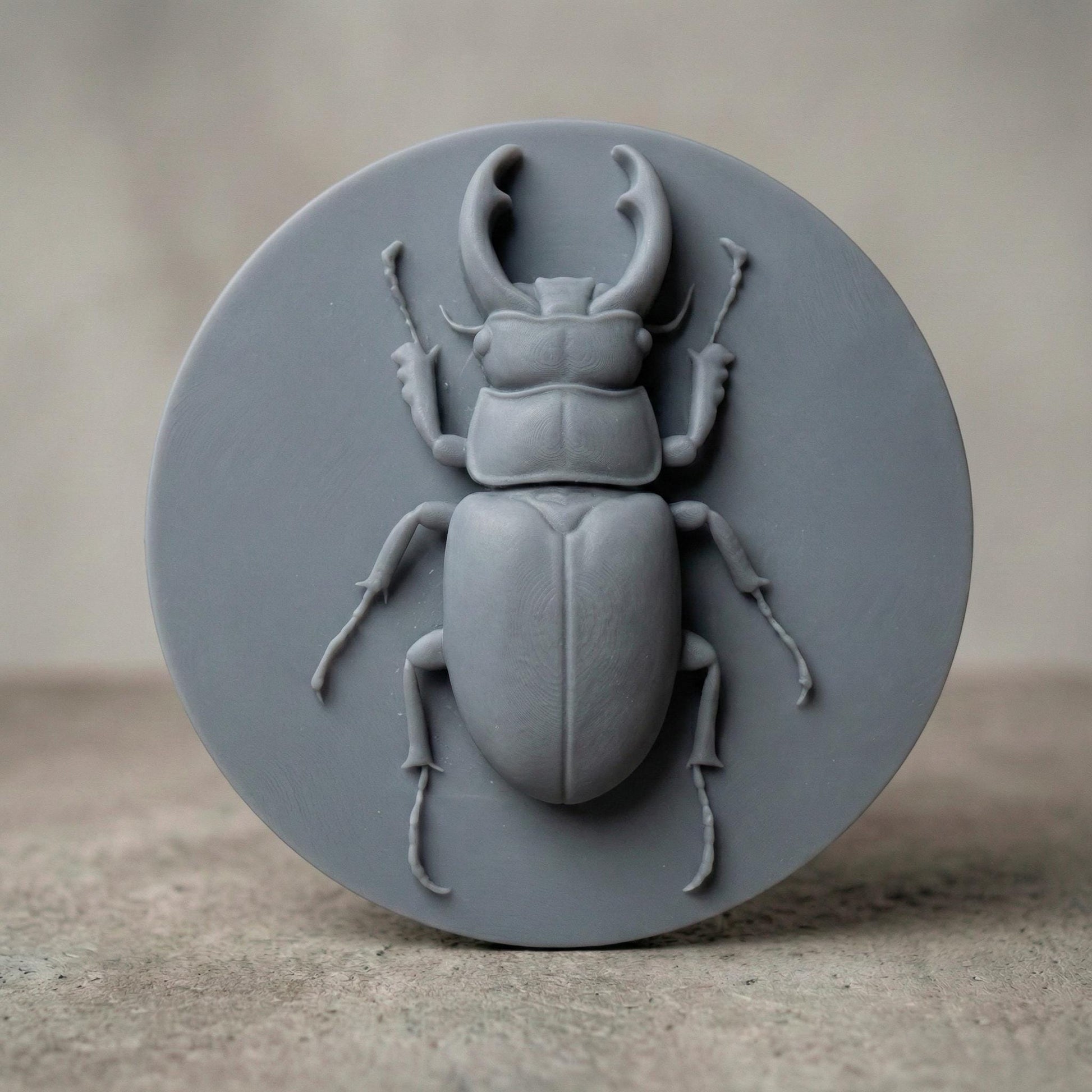Beetle 3D Relief Model: CNC, Laser, 3D Printing (STL File)