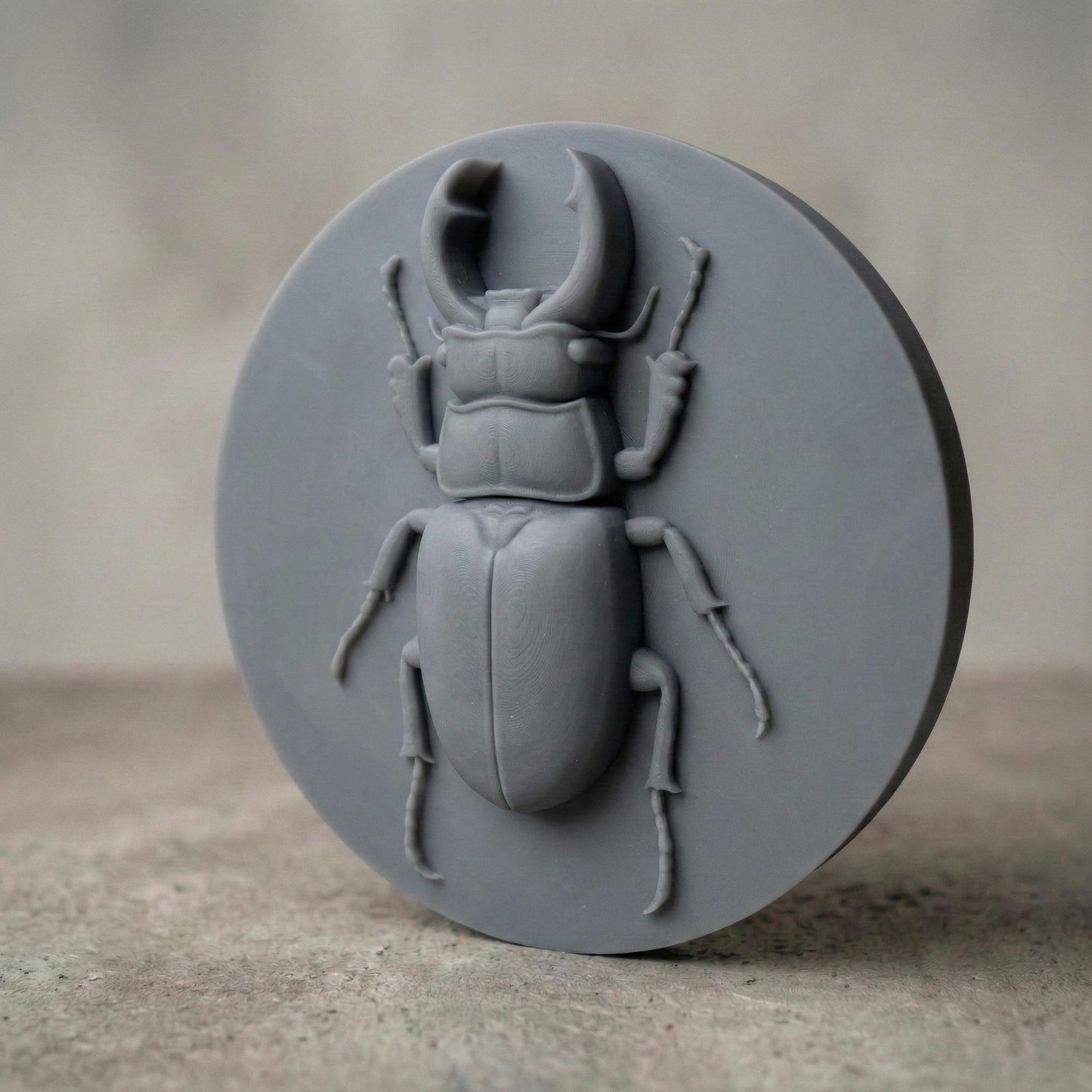 Beetle 3D Relief Model: CNC, Laser, 3D Printing (STL File)