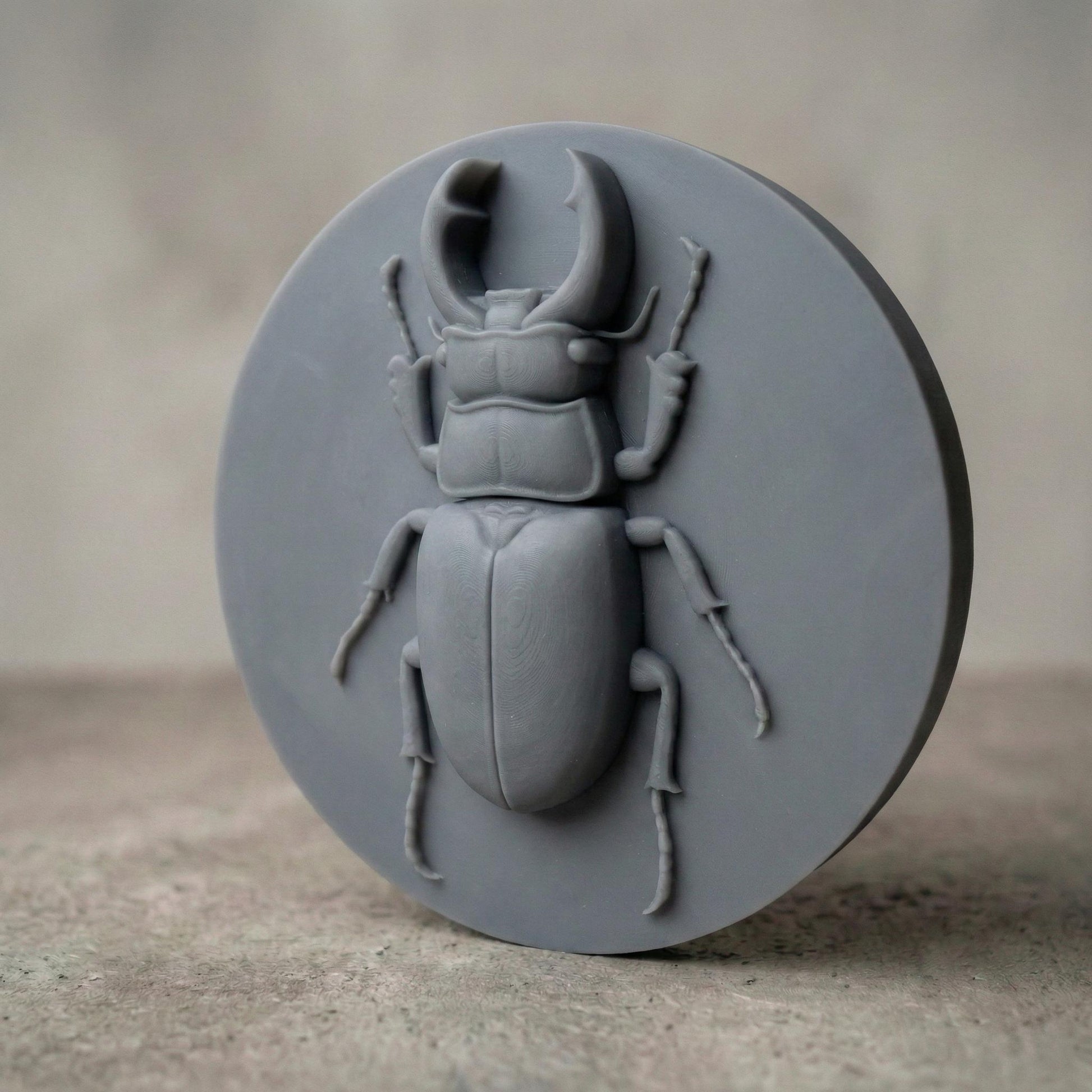 Beetle 3D Relief Model: CNC, Laser, 3D Printing (STL File)