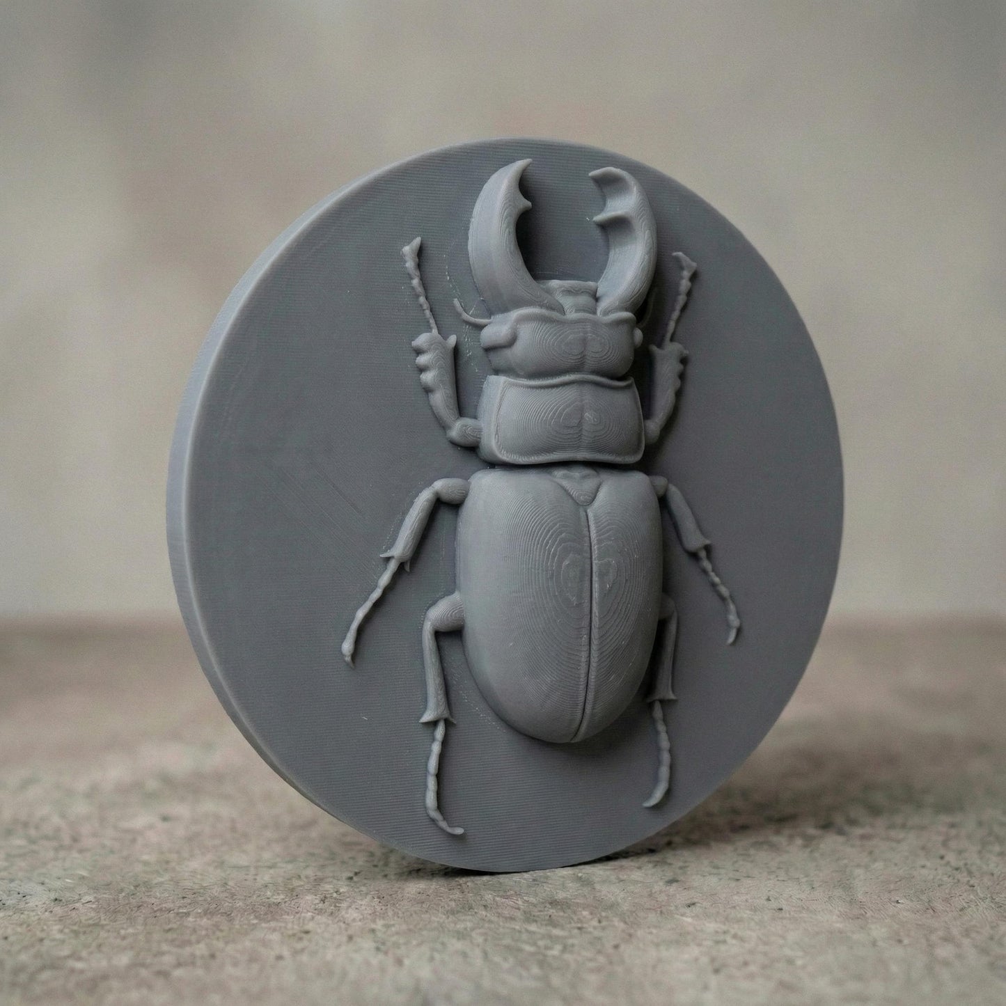 Beetle 3D Relief Model: CNC, Laser, 3D Printing (STL File)