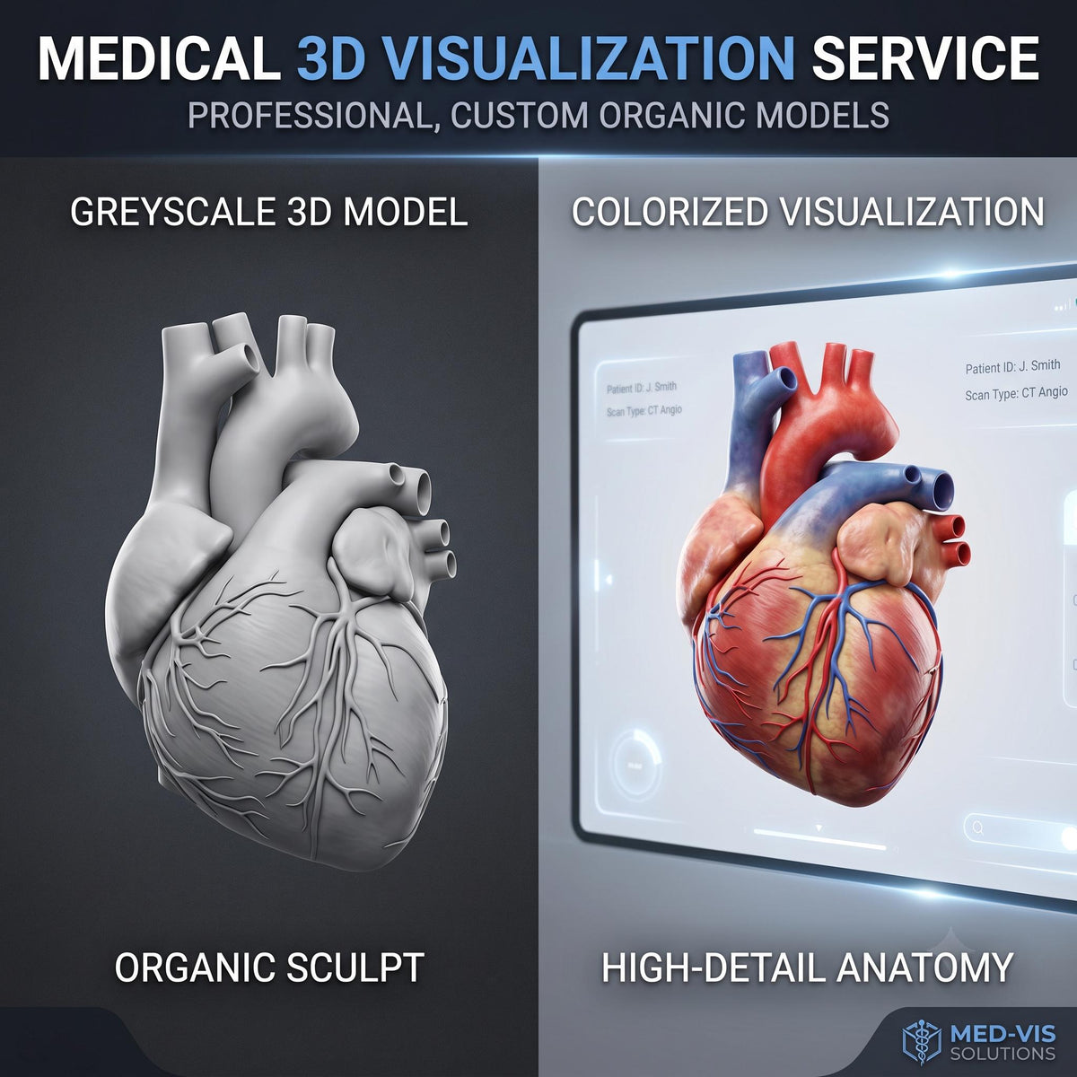Medical 3D Visualization Anatomy Sculpting Service, Human Organ Model by VFX Artist, Digital Download
