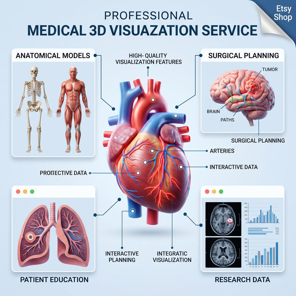 Medical 3D Visualization Anatomy Sculpting Service, Human Organ Model by VFX Artist, Digital Download