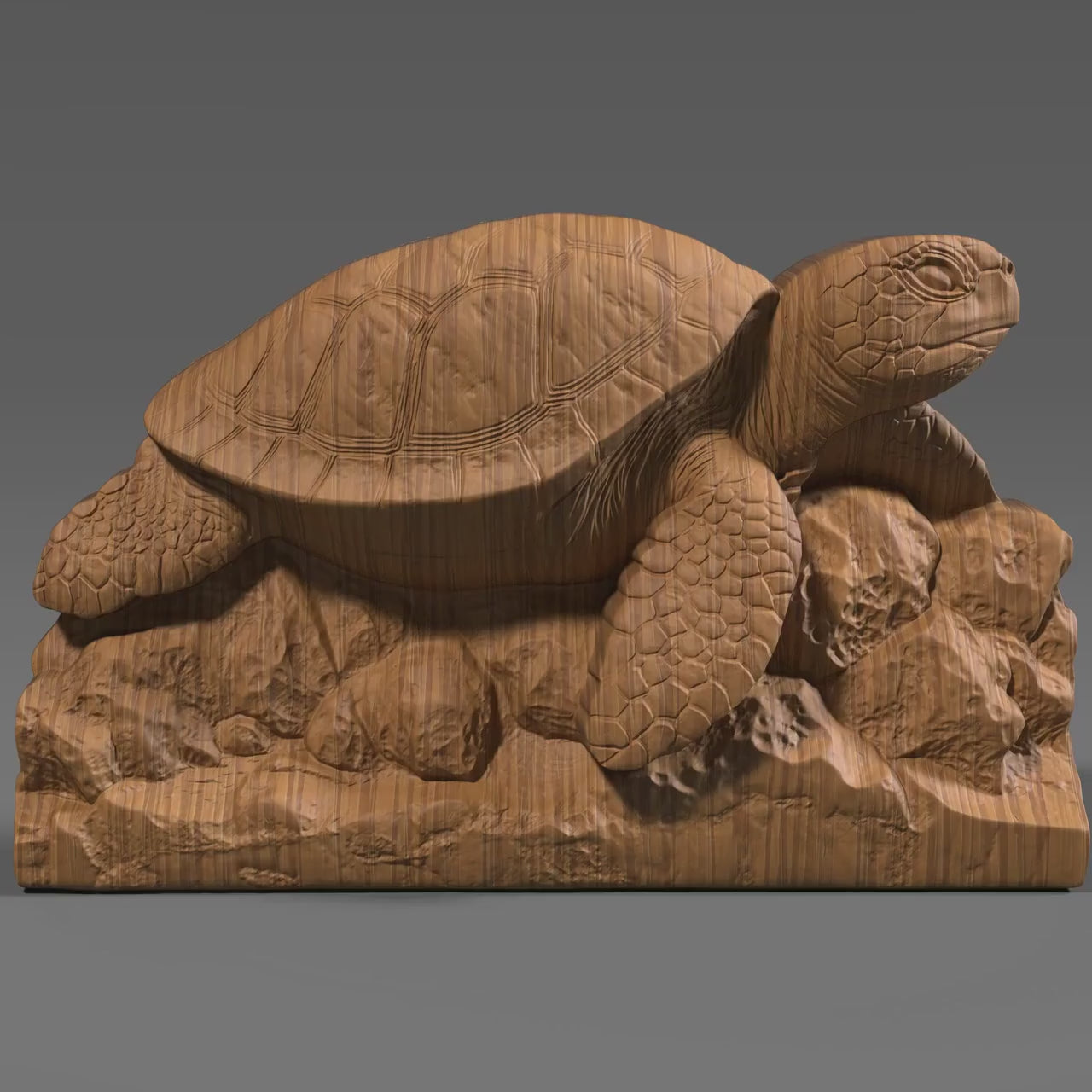 Sea Turtle 3D Relief Model: CNC, Laser, 3D Print (STL File)